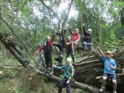 Hutten-bouwen-in-het-bos